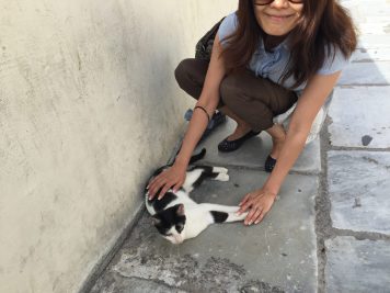 結婚と恋愛は別なのだから