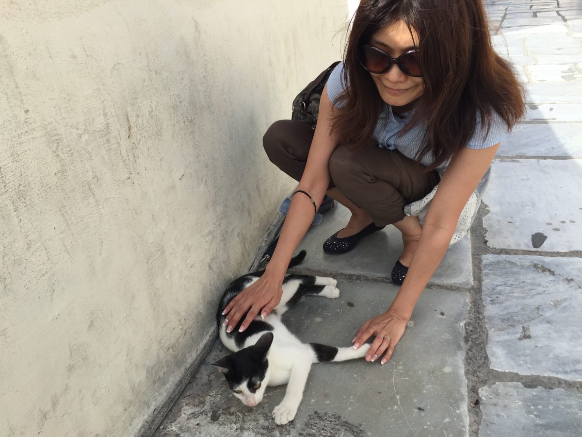 なぜあなたのお見合いは上手くいかないのか?4 なぜあなたのお見合いは上手くいかないのか?4