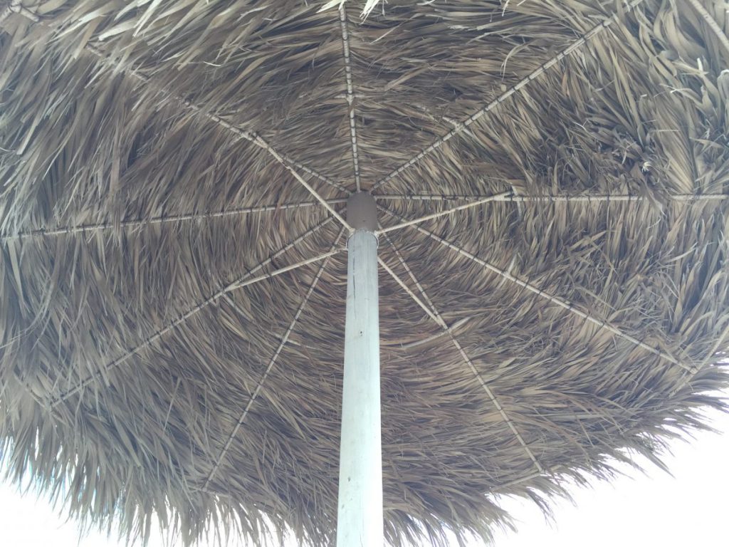 婚活と就活の類似性 婚活と就活の類似性