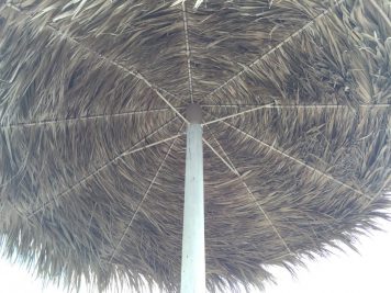 婚活と就活の類似性 婚活と就活の類似性