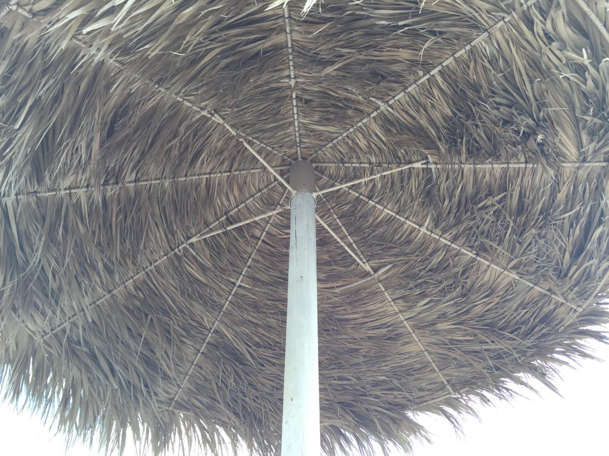 婚活と就活の類似性 婚活と就活の類似性