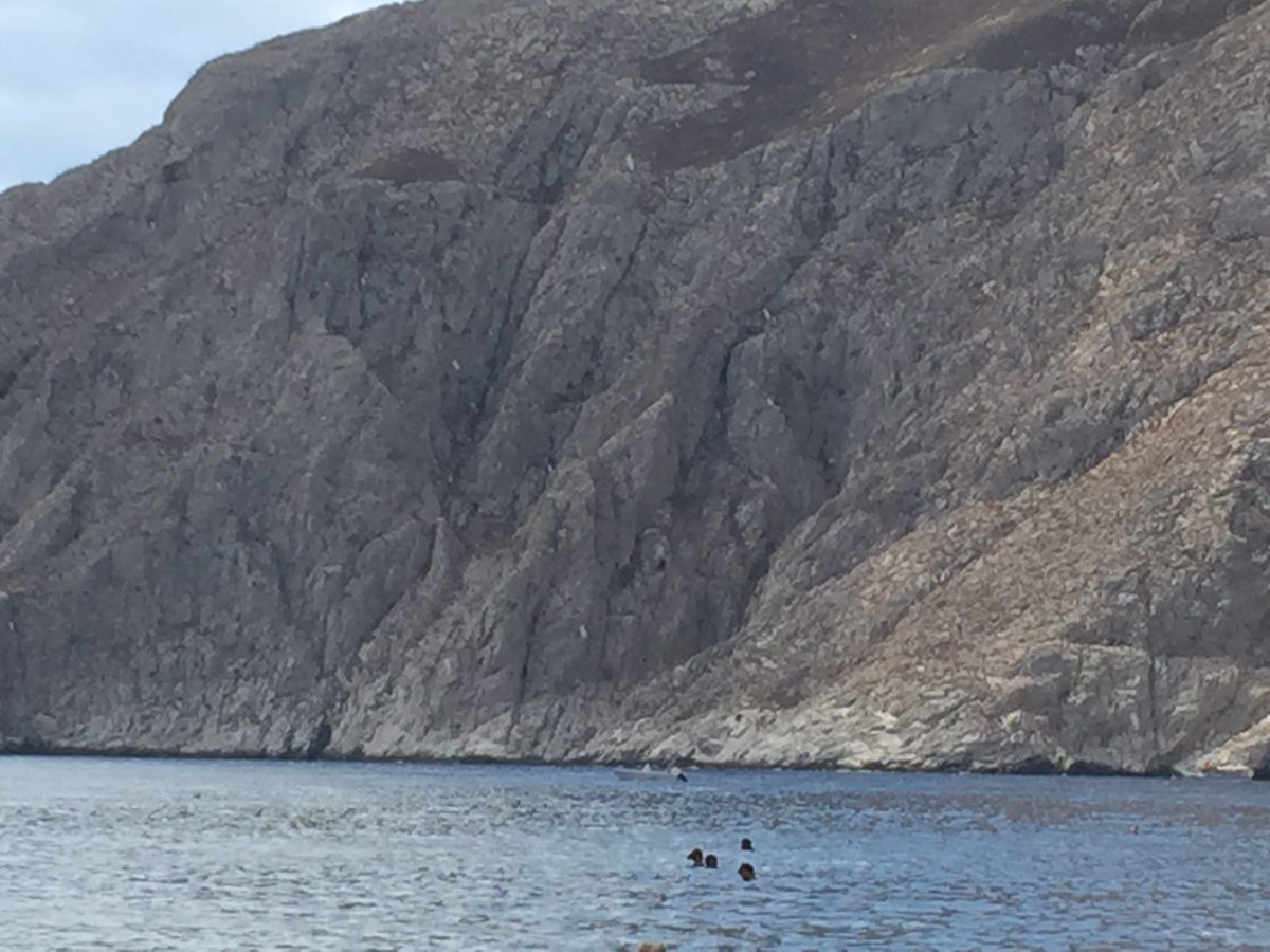 判断せずに判断することが重要 判断せずに判断することが重要