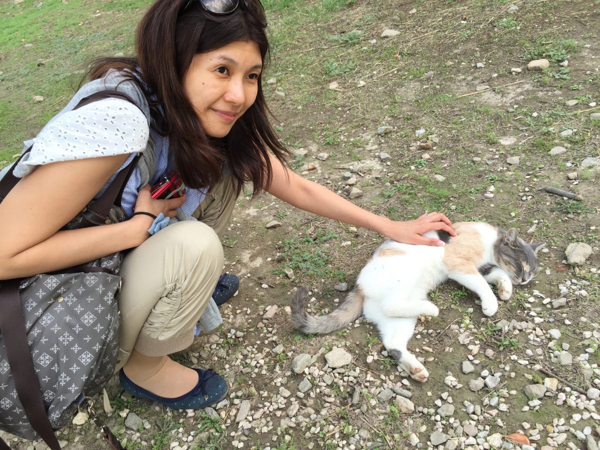 既婚者を味方につける 既婚者を味方につける