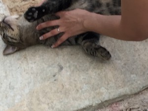 ギリシャハネムーン⑤〜アテネ〜