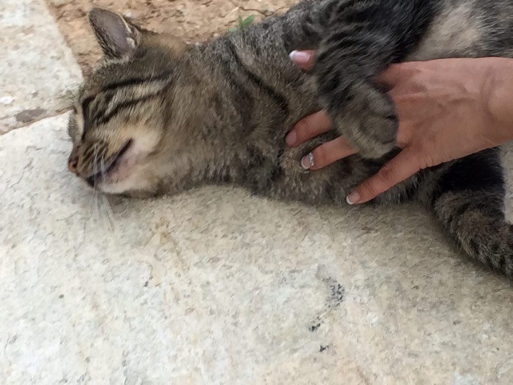 意識高い系(?)の交流会に来ている女性 意識高い系(?)の交流会に来ている女性