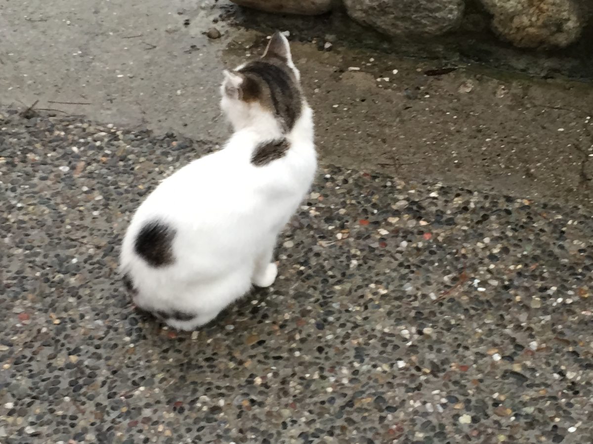 最初から全てが合う人なんていない 最初から全てが合う人なんていない