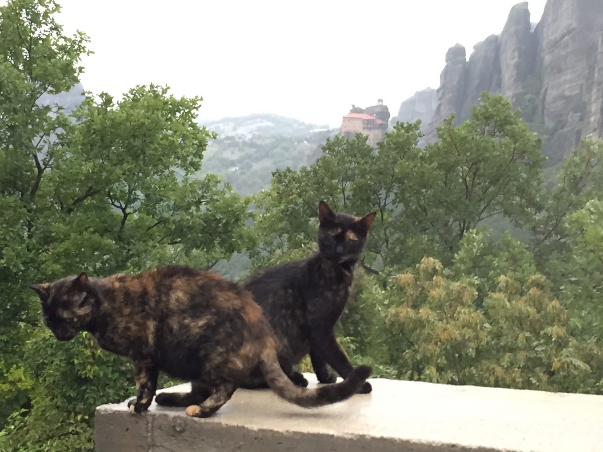 婚活必勝法~合コンでの、飲み過ぎには注意せよ!~ 婚活必勝法~合コンでの、飲み過ぎには注意せよ!~