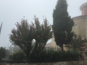 ギリシャハネムーン⑥〜デルフィ、メテオラ〜