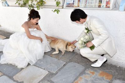 出会いがなければ、結婚は夢のまた夢 出会いがなければ、結婚は夢のまた夢