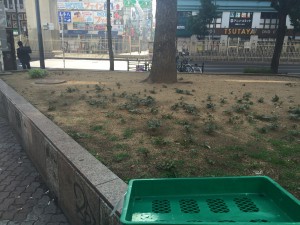 【第７４回】大阪梅田、清掃ボランティア報告