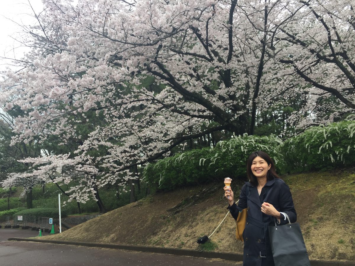 月曜日はお見合い結果が分かる運命の曜日なのです。 月曜日はお見合い結果が分かる運命の曜日なのです。