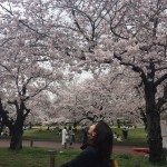 妻と万博公園に陶器市に行って来ました。 妻と万博公園に陶器市に行って来ました。