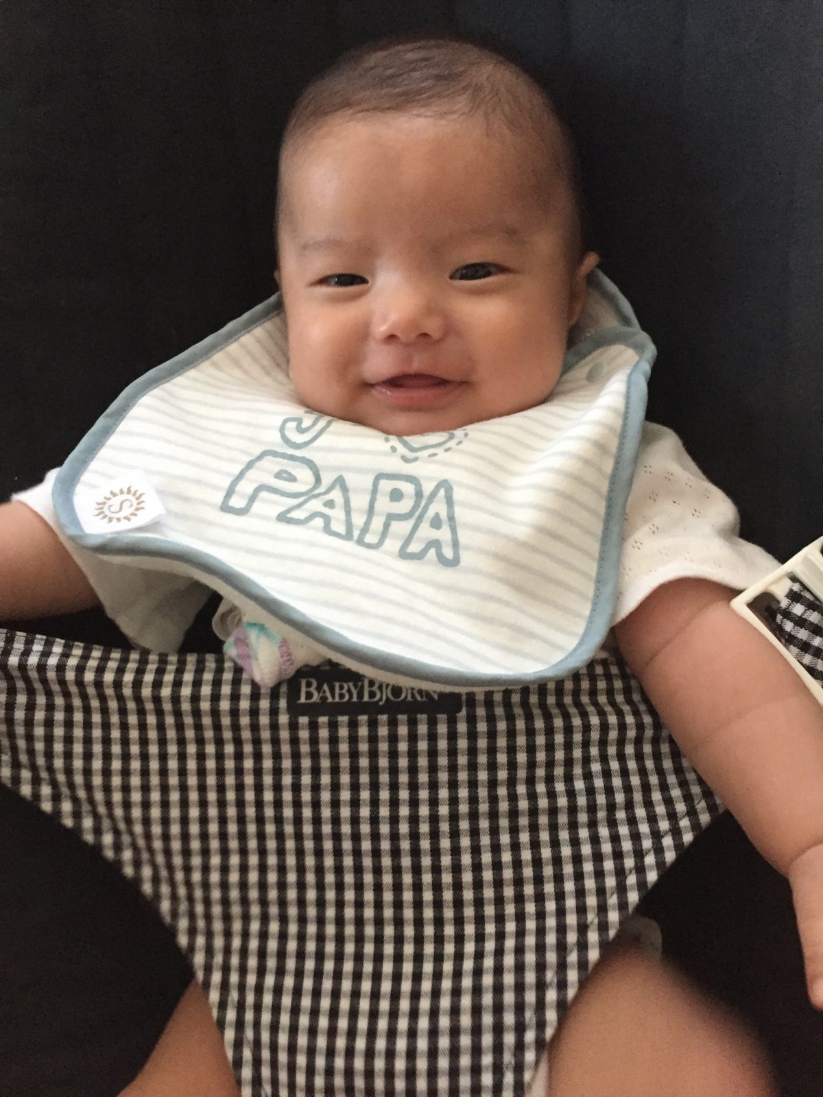 「歯固め(はがため)」の儀式の為の石を拾いに行きました 「歯固め(はがため)」の儀式の為の石を拾いに行きました