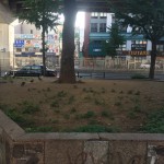 【141回】大阪梅田 東通り商店街の清掃ボランティア活動報告 【141回】大阪梅田 東通り商店街の清掃ボランティア活動報告