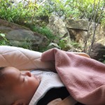 父親の一周忌の法事がありました。 父親の一周忌の法事がありました。