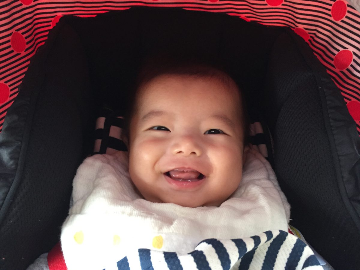 今日は年賀状用の写真撮影に行って来ました! 今日は年賀状用の写真撮影に行って来ました!