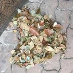 【168回】大阪梅田 東通り商店街の清掃ボランティア活動報告 【168回】大阪梅田 東通り商店街の清掃ボランティア活動報告