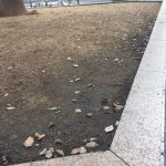 【169回】大阪梅田 東通り商店街の清掃ボランティア活動報告 【169回】大阪梅田 東通り商店街の清掃ボランティア活動報告