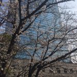 【169回】大阪梅田 東通り商店街の清掃ボランティア活動報告 【169回】大阪梅田 東通り商店街の清掃ボランティア活動報告