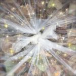 【170回】大阪梅田 東通り商店街の清掃ボランティア活動報告 【170回】大阪梅田 東通り商店街の清掃ボランティア活動報告