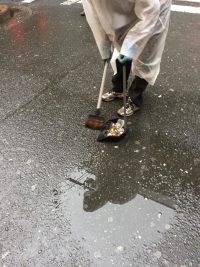 【172回】大阪梅田 東通り商店街の清掃ボランティア活動報告 【172回】大阪梅田 東通り商店街の清掃ボランティア活動報告