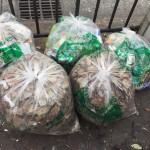 【170回】大阪梅田 東通り商店街の清掃ボランティア活動報告 【170回】大阪梅田 東通り商店街の清掃ボランティア活動報告