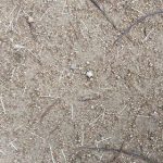 【175回】大阪梅田 東通り商店街の清掃ボランティア活動報告 【175回】大阪梅田 東通り商店街の清掃ボランティア活動報告