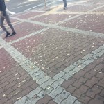 【174回】大阪梅田 東通り商店街の清掃ボランティア活動報告 【174回】大阪梅田 東通り商店街の清掃ボランティア活動報告