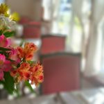 結婚相談所で成婚（結婚）できる人は「種蒔き」ができる人