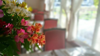 結婚相談所で成婚（結婚）できる人は「種蒔き」ができる人