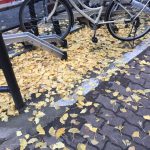 【208回】大阪梅田 東通り商店街の清掃ボランティア活動報告 【208回】大阪梅田 東通り商店街の清掃ボランティア活動報告