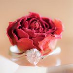 【注意!】成婚(結婚)を遠ざける「交際していたあの人より良い人と」という病 【注意!】成婚(結婚)を遠ざける「交際していたあの人より良い人と」という病