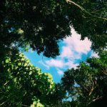 元気があるから婚活するのか、婚活するから元気が出るのか 元気があるから婚活するのか、婚活するから元気が出るのか