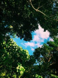 9.11から20年 9.11から20年