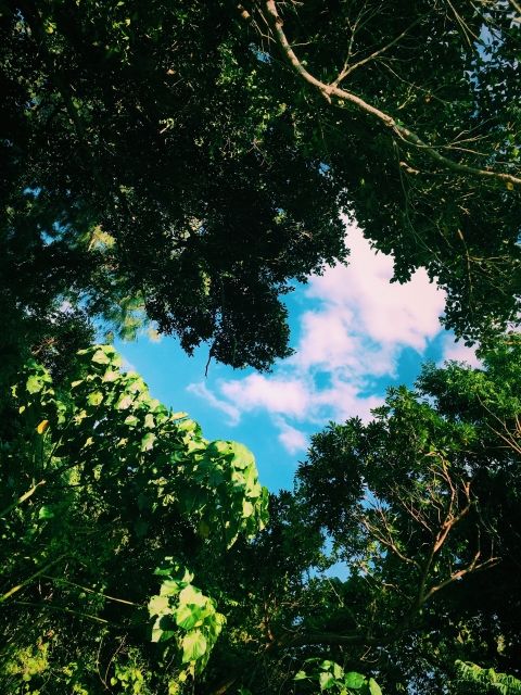 9.11から20年 9.11から20年