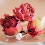 婚活を成功させたいならまず分かっておかないといけないこと。 婚活を成功させたいならまず分かっておかないといけないこと。