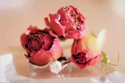 祝!!小泉進次郎さん、滝川クリステルさん、ご結婚おめでとうございます!!\(^o^)/ 祝!!小泉進次郎さん、滝川クリステルさん、ご結婚おめでとうございます!!\(^o^)/