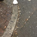 【210回】大阪梅田 東通り商店街の清掃ボランティア活動報告 【210回】大阪梅田 東通り商店街の清掃ボランティア活動報告