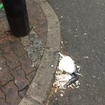 【210回】大阪梅田 東通り商店街の清掃ボランティア活動報告 【210回】大阪梅田 東通り商店街の清掃ボランティア活動報告