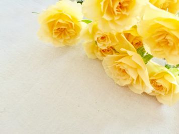 ランニング中に亀に遭遇しました。 ランニング中に亀に遭遇しました。