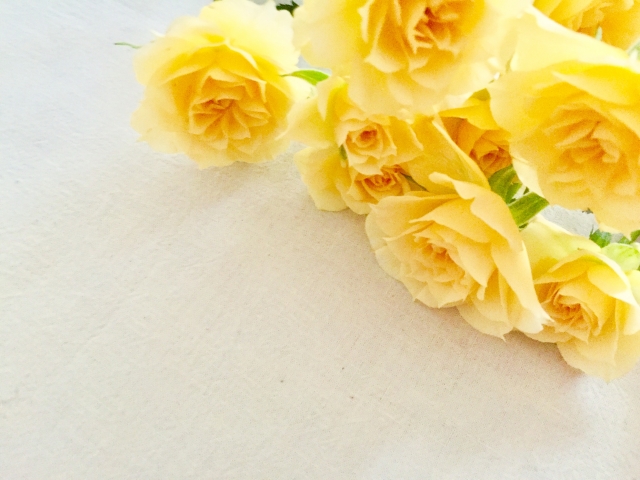 今日は「慰霊の日」 今日は「慰霊の日」