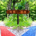 婚活、同じことを繰り返して違う結果を求めていませんか? 婚活、同じことを繰り返して違う結果を求めていませんか?