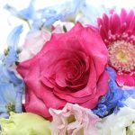 婚活のコミュニケーションのコツは日々のネタ探しから 婚活のコミュニケーションのコツは日々のネタ探しから