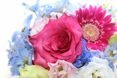 吉本興業の岡本社長の記者会見を見て思ったこと