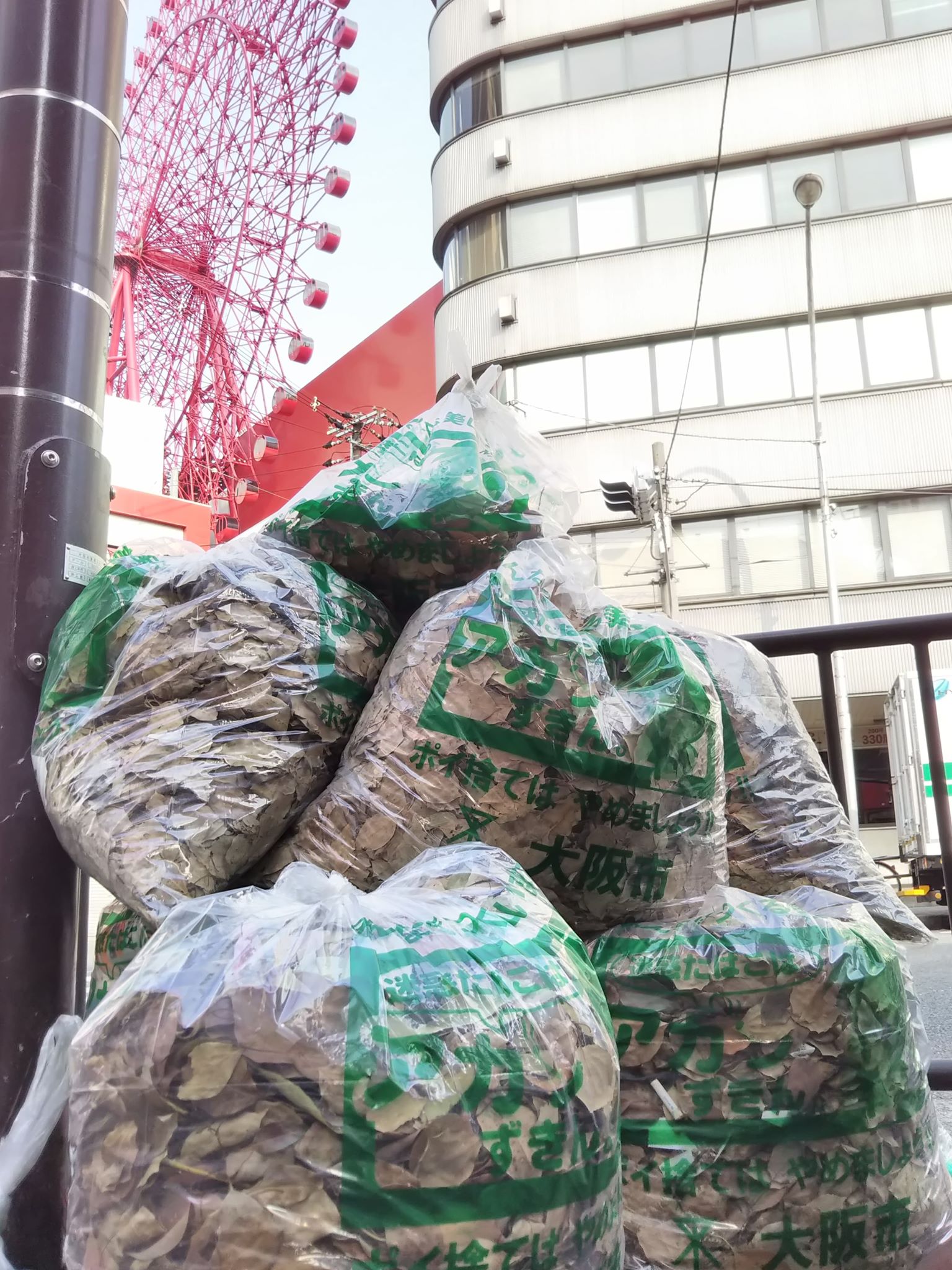 婚活に掃除ボランティアをオススメする理由 婚活に掃除ボランティアをオススメする理由