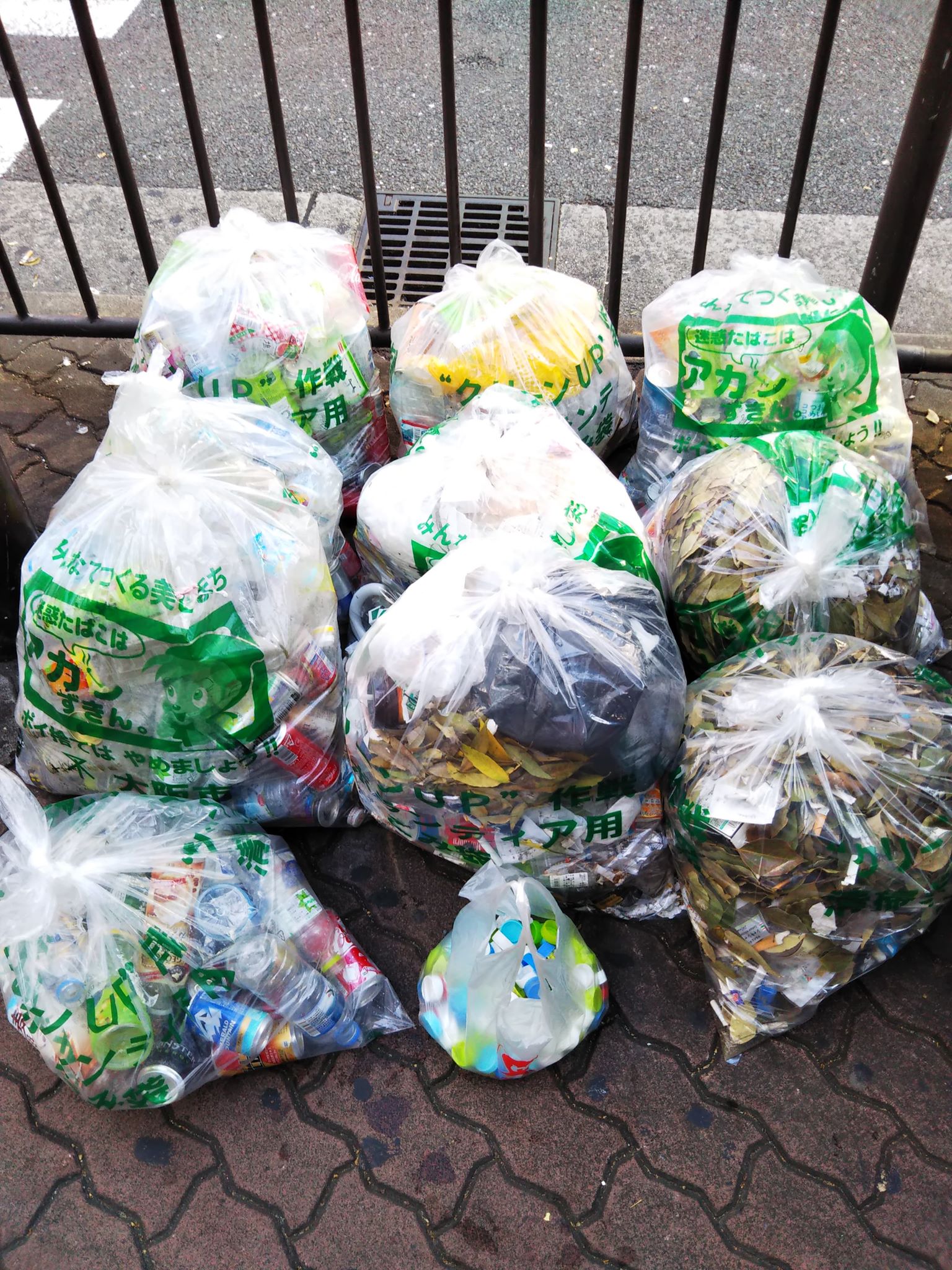 第240回 東通りを楽しく綺麗にする会に参加しました! 第240回 東通りを楽しく綺麗にする会に参加しました!