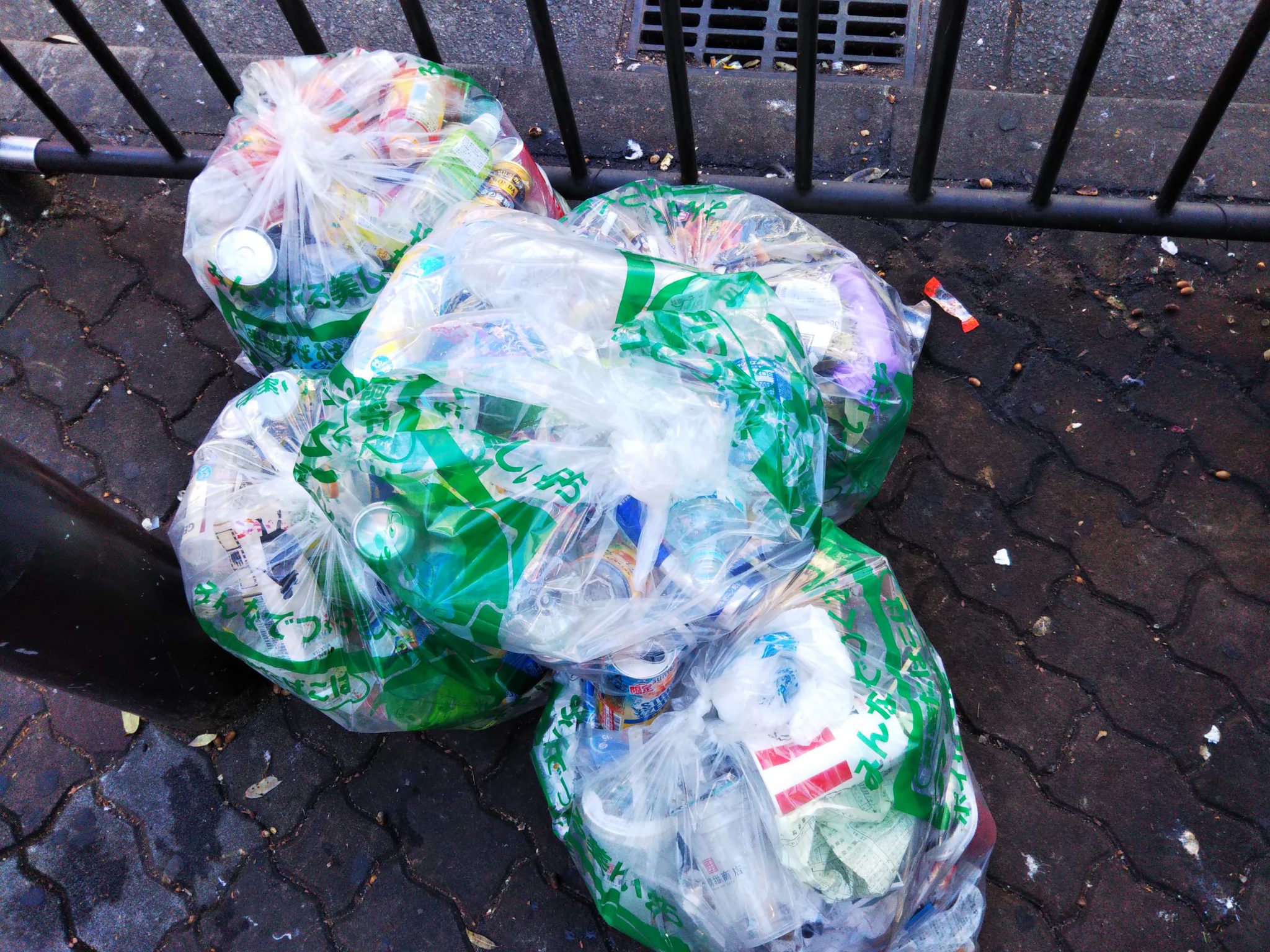 第255回 早朝掃除ボランティアに参加しました! 第255回 早朝掃除ボランティアに参加しました!