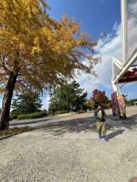 子どもと公園に行って人生一寸先は闇だと思った話