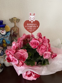 婚活成功(成婚)を引き寄せる感謝の心。感謝の心を持ち続ければうまくいきます 婚活成功(成婚)を引き寄せる感謝の心。感謝の心を持ち続ければうまくいきます